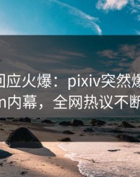 神秘人回应火爆：pixiv突然爆出pzhan内幕，全网热议不断