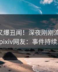 神秘人又爆丑闻！深夜刚刚流出pzhan，pixiv网友：事件持续发酵