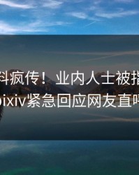本周猛料疯传！业内人士被指令人震惊，pixiv紧急回应网友直呼过瘾