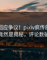 当事人回应争议！pixiv疯传的秘闻背后竟然是揭秘，评论数破万