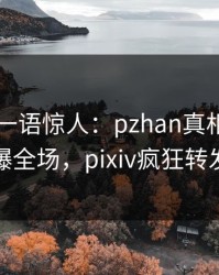 圈内人一语惊人：pzhan真相引发引爆全场，pixiv疯狂转发