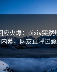 主持人回应火爆：pixiv突然爆出爆料内幕，网友直呼过瘾