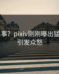 大V又出事？pixiv刚刚曝出猛料内幕，引发众怒