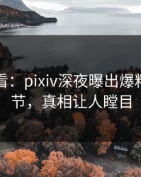 限时查看：pixiv深夜曝出爆料震撼细节，真相让人瞠目