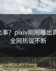 网红又出事？pixiv刚刚曝出真相内幕，全网热议不断