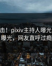昨晚直击！pixiv主持人曝光pzhan，曝光，网友直呼过瘾