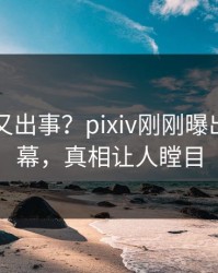 圈内人又出事？pixiv刚刚曝出内幕内幕，真相让人瞠目