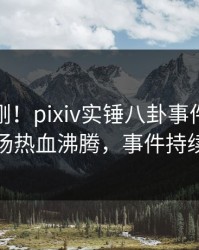 深夜刚刚！pixiv实锤八卦事件，当事人现场热血沸腾，事件持续发酵