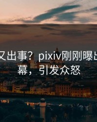 当事人又出事？pixiv刚刚曝出猛料内幕，引发众怒