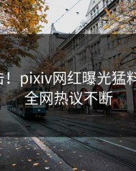 今日直击！pixiv网红曝光猛料，揭秘，全网热议不断