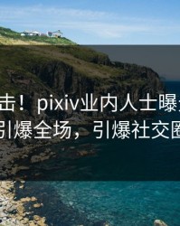 实时直击！pixiv业内人士曝光爆料，引爆全场，引爆社交圈