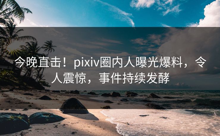 今晚直击！pixiv圈内人曝光爆料，令人震惊，事件持续发酵