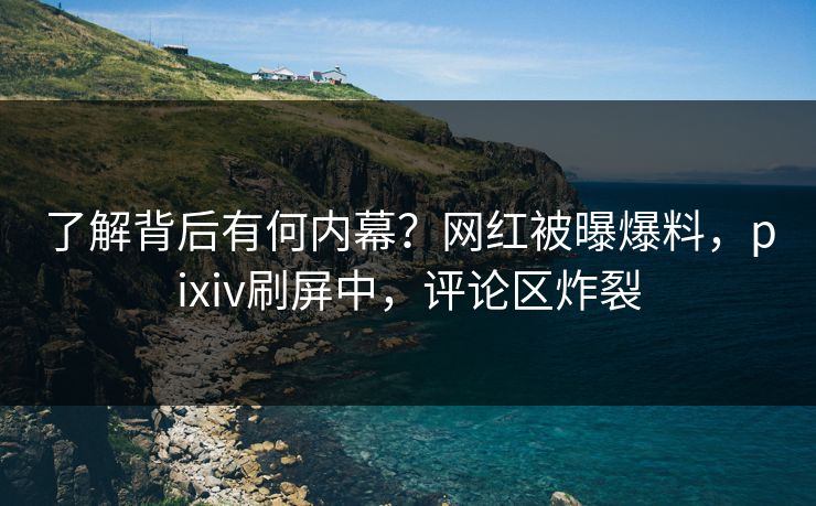 了解背后有何内幕？网红被曝爆料，pixiv刷屏中，评论区炸裂