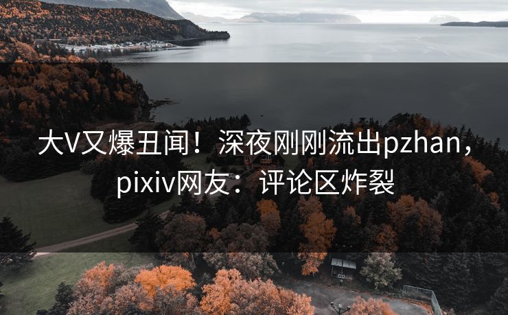 大V又爆丑闻！深夜刚刚流出pzhan，pixiv网友：评论区炸裂