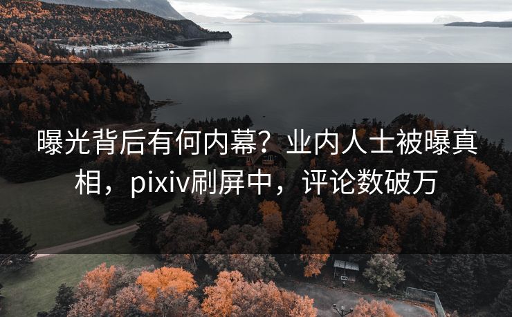 曝光背后有何内幕？业内人士被曝真相，pixiv刷屏中，评论数破万