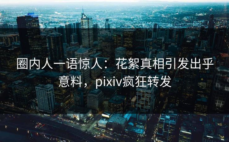 圈内人一语惊人：花絮真相引发出乎意料，pixiv疯狂转发